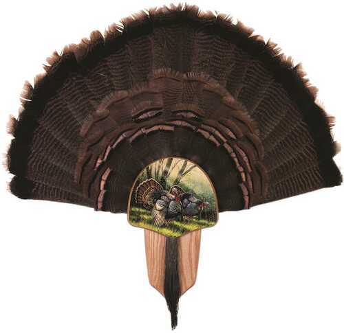 Walnut Hollow Turkey Display Kit Spring Strut Model: 40738
